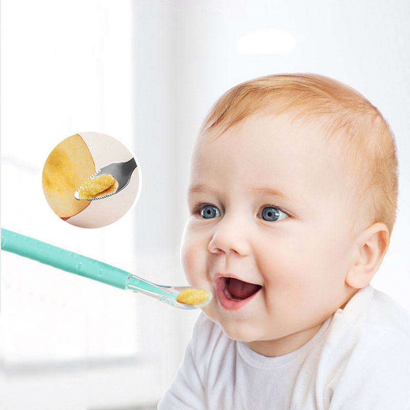 사과 퓨레를 먹기 위한 양쪽 끝이 있는 스크레이퍼 스푼 - Baby Food Apple 리뷰 및 가격