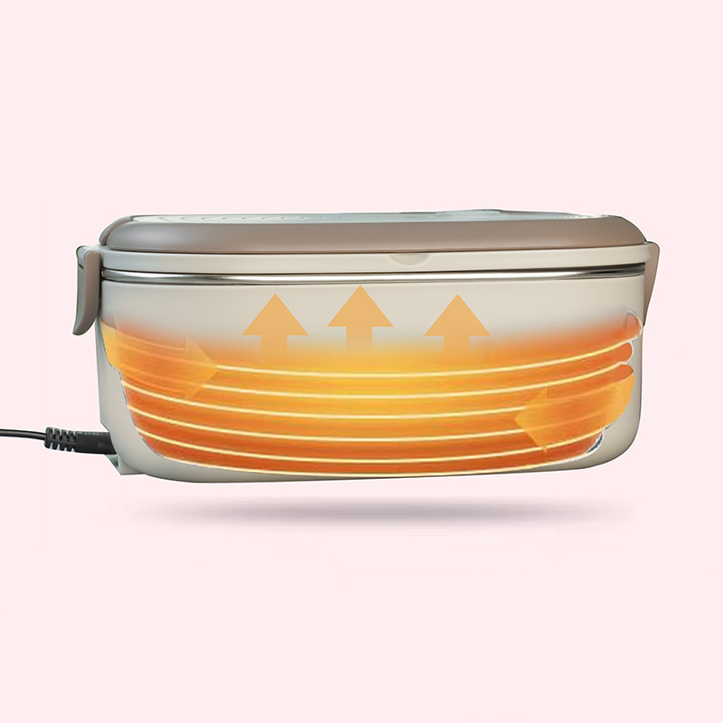 220V 110V 전기 도시락 상자 스테인레스 스틸 음 - Baby Food Warmer Portable 리뷰 및 가격